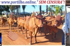👉📢😌🙂‍↕️ Acabou de vez a maior Festa de Minas Gerais !!!! A última edição foi 19° FESTA DO🐂🐃 CARRO -DE-BOI🐂🐃em 2023 NA FAZENDA JOVISSEMA