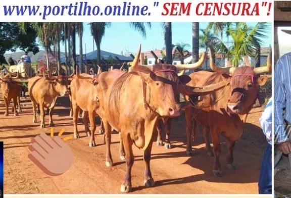 👉📢😌🙂‍↕️ Acabou de vez a maior Festa de Minas Gerais !!!! A última edição foi 19° FESTA DO🐂🐃 CARRO -DE-BOI🐂🐃em 2023 NA FAZENDA JOVISSEMA