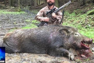 📢±Caçadores de 🐗 javali 🐗 👺👽🗣😡😠🤬Cadê a polícia 🚔 🫵 🫵 🫵 🚓 Denuncias:  propriedades rurais reclamam de invasões.