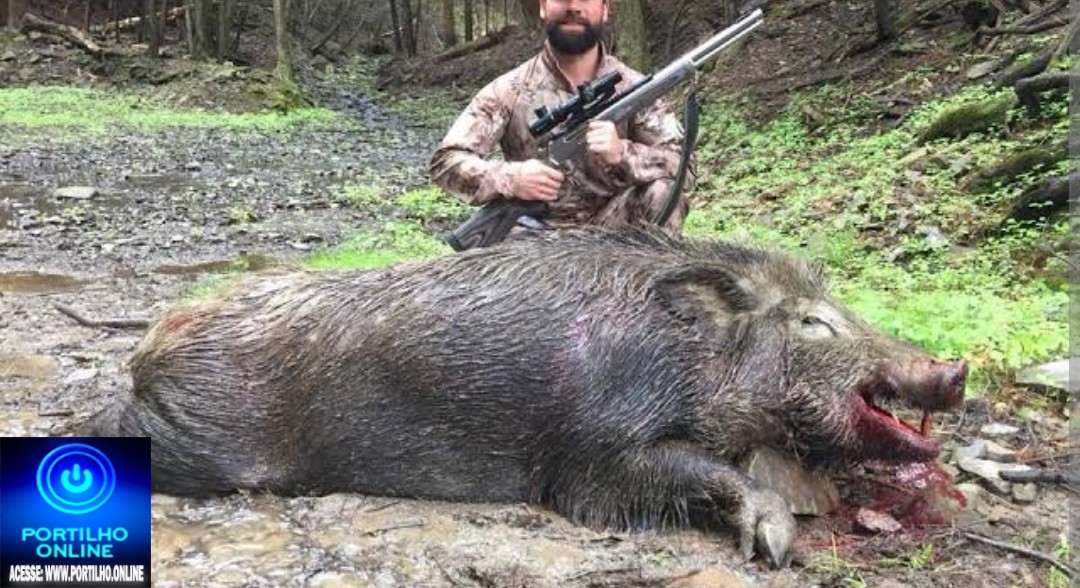 📢±Caçadores de 🐗 javali 🐗 👺👽🗣😡😠🤬Cadê a polícia 🚔 🫵 🫵 🫵 🚓 Denuncias: propriedades rurais reclamam de invasões.