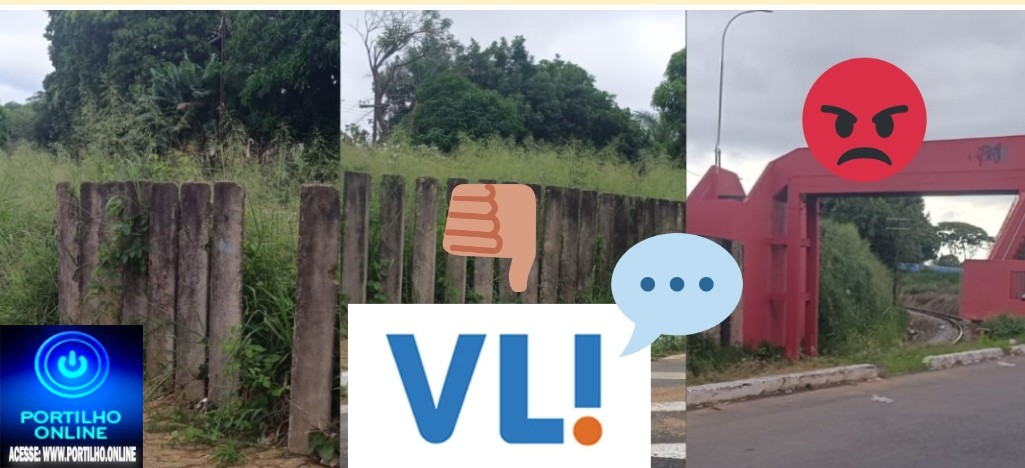 📢👉😡🤮🤢🤬🚧🚂🚝🚂VLI: Moradores reclamam de matagal ao longo da linha férrea