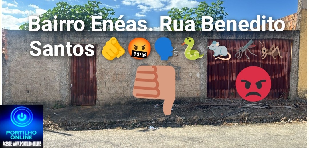 👉😮😱😡😠😬👎🐜🕷🕸🐍🦂🦎🦀Bairro Enéas. Moradores reclamam de lote sujo e abandonado na Rua