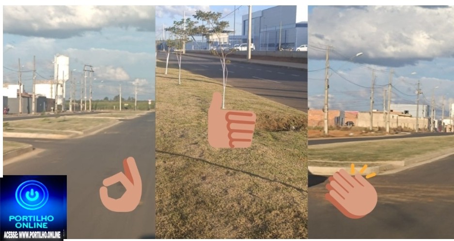 <>👏🫵📢🐦👍🤙🚧🥇🎬Show de organização na limpeza pública das avenidas