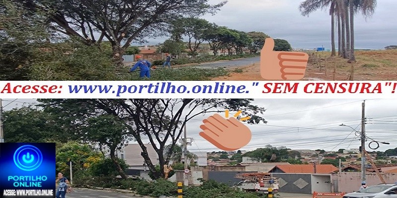 🤙👍👏🫵🐦📢🥇🚧 Secretaria de Obras avança na poda de árvores e na limpeza dos canteiros das avenidas
