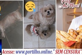 👉😱👏🚔🔍🕵🔎🚑🚒⚖💣⚰ELA MORREU 😪😭Quem é o dono de uma padaria que espancou até a morte da cadelinha ” MEG”