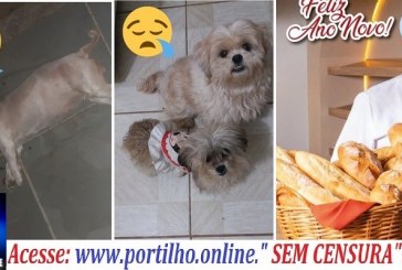 👉😱👏🚔🔍🕵🔎🚑🚒⚖💣⚰ELA MORREU 😪😭Quem é o dono de uma padaria que espancou até a morte da cadelinha ” MEG”