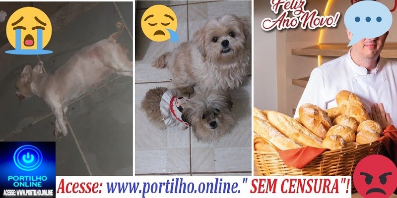 👉😱👏🚔🔍🕵🔎🚑🚒⚖💣⚰ELA MORREU 😪😭Quem é o dono de uma padaria que espancou até a morte da cadelinha ” MEG”