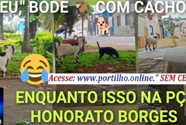 👉📢🤔😱❓🗣😂😅🤣DEU BODE 🐐 🐐🐏e cachorro 🐕🦮 na praça Honorato Borges