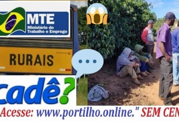 📢❓🤔🔍❓🕵🔎⚖🚨😱🛠⚒Boa noite Portilho   gostaria de fazer uma denúncia tem um gato ele se chama Jesus.