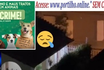 👉📢👀🚔🚨🕵🧐⚽🧐😱😪🐶🐕🐩🐈Portillho, parece que tem uns cachorros 🐶 🐕 🦮 sendo agredido ou maus tratos