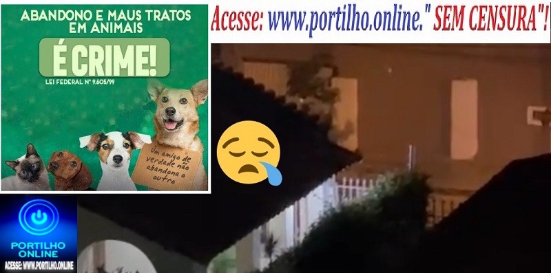👉📢👀🚔🚨🕵🧐⚽🧐😱😪🐶🐕🐩🐈Portillho, parece que tem uns cachorros 🐶 🐕 🦮 sendo agredido ou maus tratos