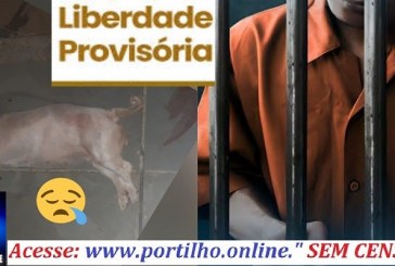 👉📢👉⚖❓🚔Saiu da penitenciária: Acusado de agredir e matar a cadelinha ‘Meg’ é solto após 10 dias preso