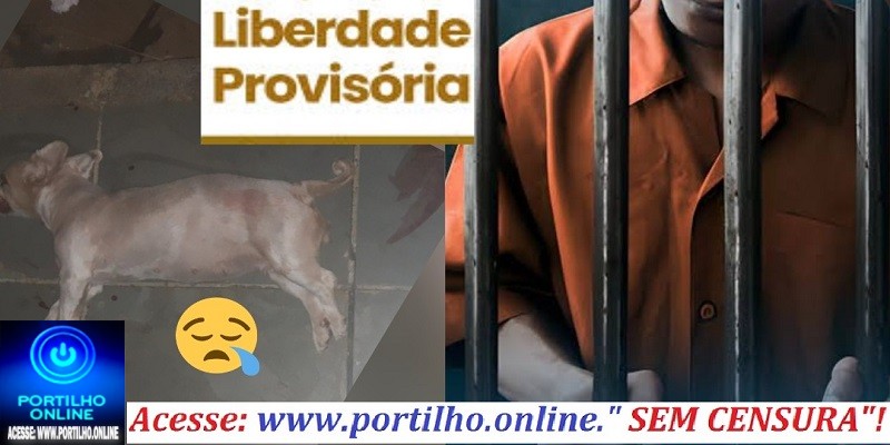 👉📢👉⚖❓🚔Saiu da penitenciária: Acusado de agredir e matar a cadelinha ‘Meg’ é solto após 10 dias preso
