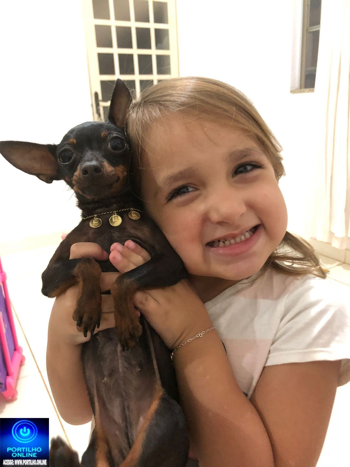 👉😱👁🔎🕵️♀️🔍📢😪🐕🐩🐈Cadelinha ‘jade’ Pinscher desaparecida