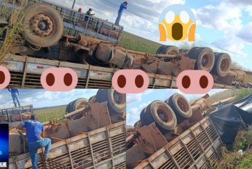 👉🗣🚔🚨🚓🚒🚑🐖🐖🐷🐽carreta-carregada-de-porcos-suinos-toma-proximo-ao-posto-doidao