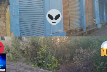 👉📢🤮🐍🐀🐭🦂🧐🚧Lote no centro da cidade gera reclamações.