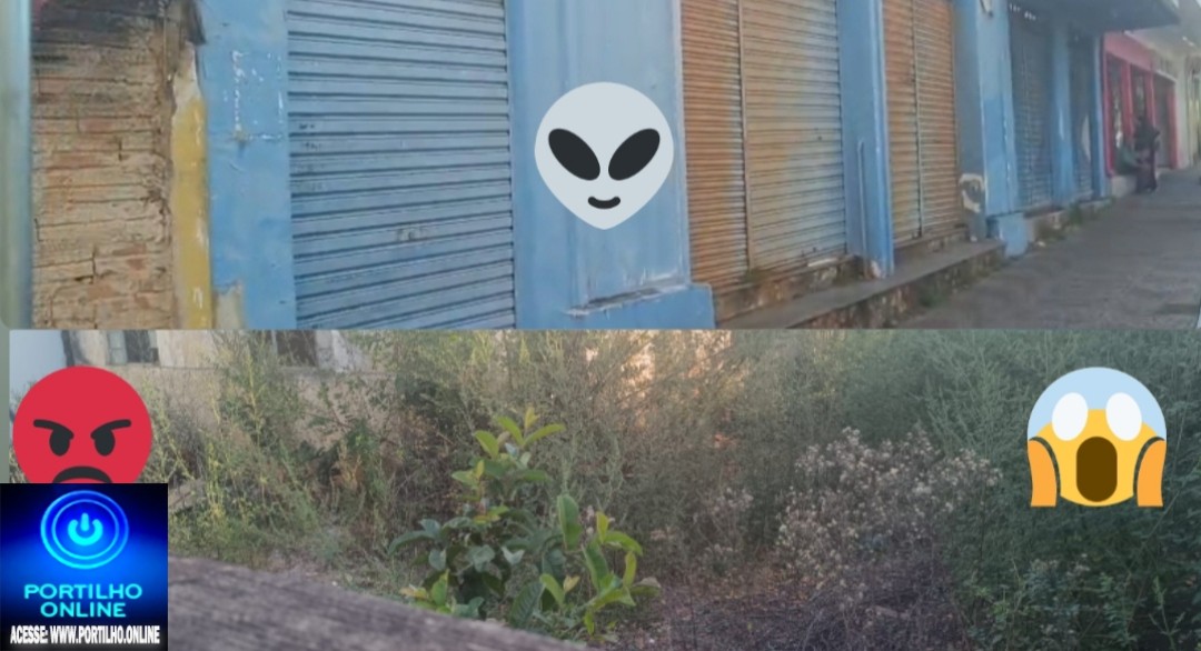 👉📢🤮🐍🐀🐭🦂🧐🚧Lote no centro da cidade gera reclamações.