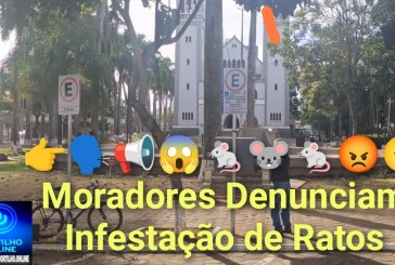 👉🗣📢😱🐁🐭🐁😡😠Moradores Denunciam Infestação de Ratos na Praça Santa Luzia e Alertam para Riscos à Saúde Pública