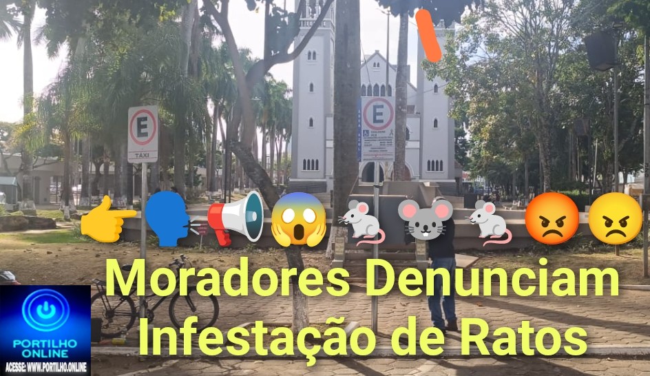👉🗣📢😱🐁🐭🐁😡😠Moradores Denunciam Infestação de Ratos na Praça Santa Luzia e Alertam para Riscos à Saúde Pública