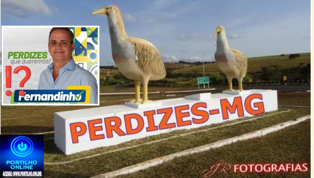 👉📢👀🗣⁉💸🤔🧐Perdizes: após 5 meses e 13 dias, a cidade parece ir de mal a pior