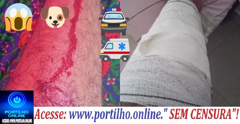 📢🚔🚑🗣💉🐶Aí,  fui mordido por 🐕‍🦺 cão 🐕‍🦺! Boa tarde Portilho! Venho encarecidamente lhe pedi para que poste em seu site