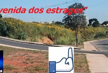 📢👉😡😈🧐🗣🐁🐭🐀👽🚧🐍🦂🕸🐜🦗🕷Avenida dos Lagos? Só se for dos estragos.