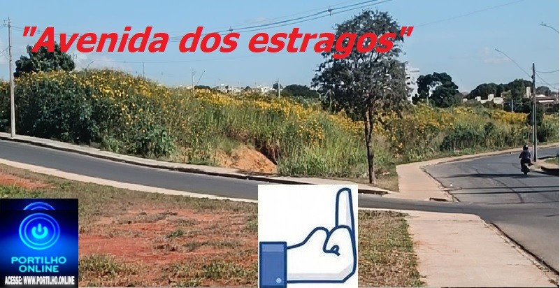 📢👉😡😈🧐🗣🐁🐭🐀👽🚧🐍🦂🕸🐜🦗🕷Avenida dos Lagos? Só se for dos estragos.