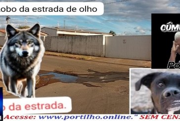 👉🗣👽🤫📢👹👿🫵⚖👀🫰💸🐀💸Ex-prefeito de Patrocinio tentou se apoderar de terreno na cidade de Serra do Salitre