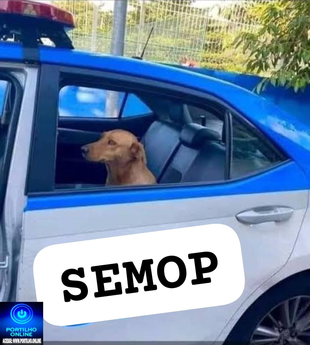 Furo de reportagem…👉🫵📢👀🗣😳😱🚔🚓🐕🦺🦮🐕”Caramelo ataca veterinária e é conduzido na viatura” Após um início de motim e
