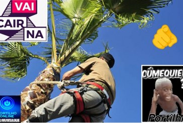 👉⁉🤔🗣🔎👀🔍📢🌴🌲🌳🌴Eleitor do prefeito Dr. Gustavo B. e do vice M. C. segue esperando uma sacudida…