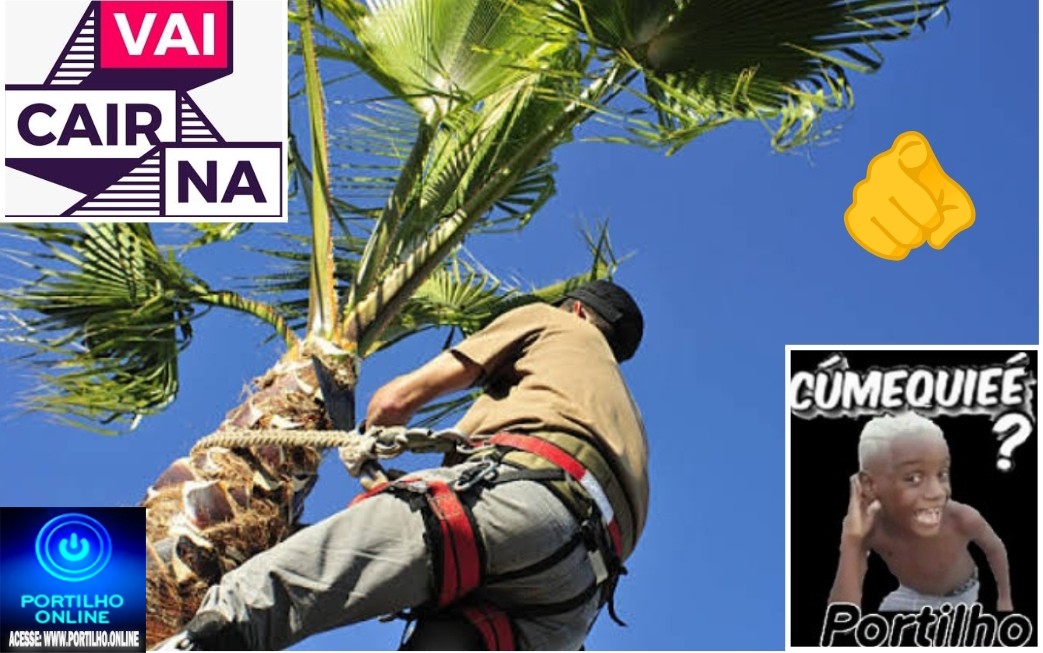 👉⁉🤔🗣🔎👀🔍📢🌴🌲🌳🌴Eleitor do prefeito Dr. Gustavo B. e do vice M. C. segue esperando uma sacudida…