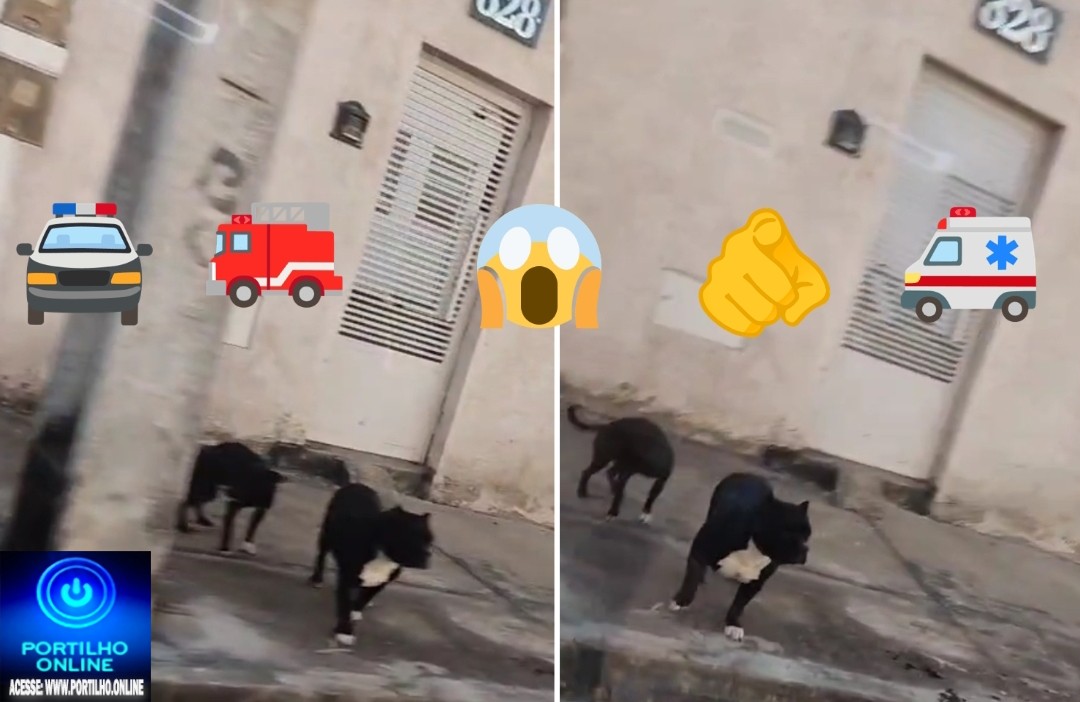 👉🚔📢🗣🔍👀🔎🚑😱🐕🐶Cuidado Pit Bull solto⚠⚠⚠! Portilho: Moro no bairro jardim Eldorado não saio de casa