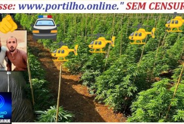 😱😮🚁🚁🚁Não é “plantação de tomate”, dessa vez não é roubo de café… 😱😮🚁🚁🚁Helicóptero sobrevoa a plantações de maconha 🔎🚁📢🚨⚖😳😮😱