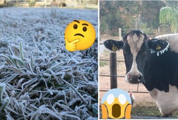 👉📢🥶❄😱🥶🤧☃Espia a friaca 🥶tapete de neve” na região de Salitre, Tejuco e São Benedito