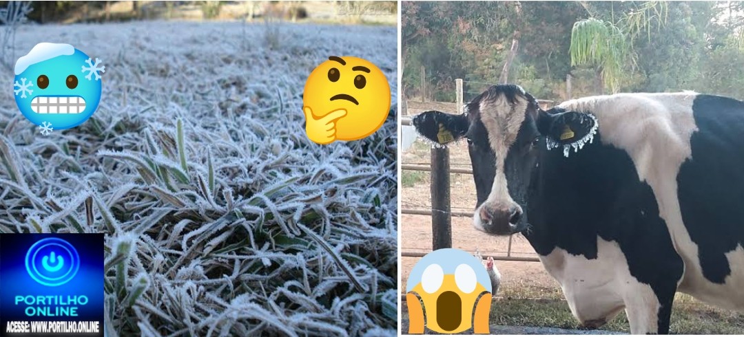 👉📢🥶❄😱🥶🤧☃Espia a friaca 🥶tapete de neve” na região de Salitre, Tejuco e São Benedito