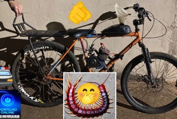 😳😱🧐Lacraia foi presa👉😱🚓🆘🚨🚧🚔 . Aguarde mais informações…