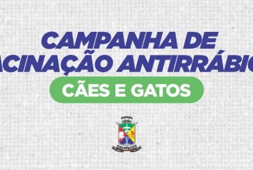 👉🫵📢😸🐭🐰🐶🐱🐈‍⬛🐕🦮🚨💉💉💉Governo Municipal inicia campanha de vacinação antirrábica em cães e gatos