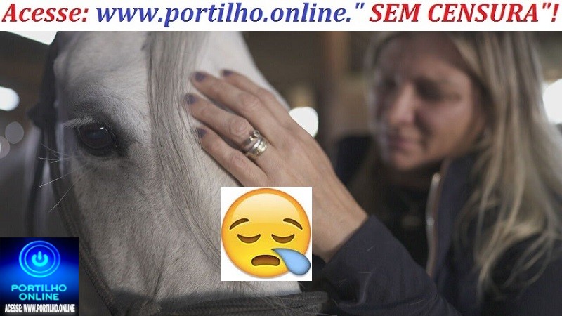 👉👀😰😔😪🐴🐴🐎🐎245 cavalos em 4 estados, diz ministério morreram. Ração contaminada:entenda o que está matando cavalos em haras brasileiros