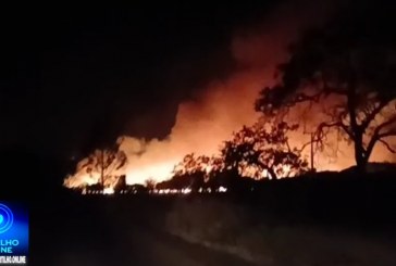 📢🥵❤‍🔥🔥👎🚨🚛🧯😠😡🔥Incêndio de grandes proporções atinge comunidade de Esmeril às margens da MG-230 🚨🔥