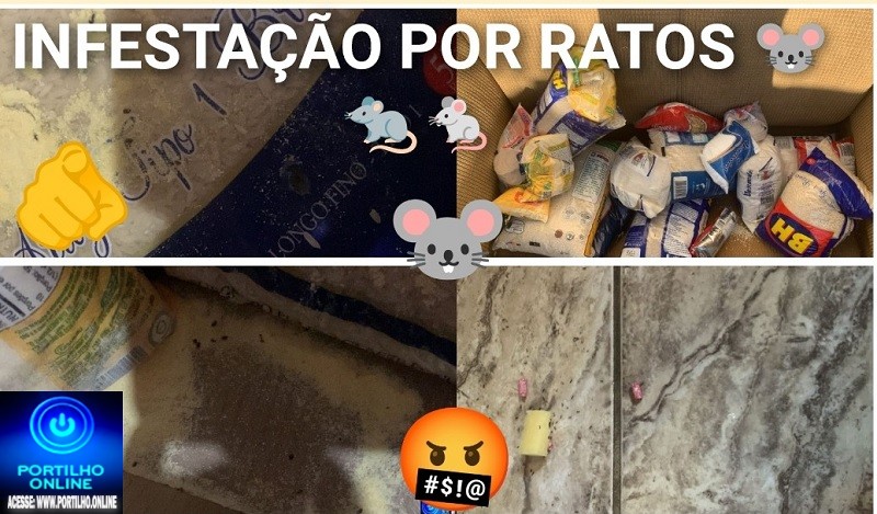 👉😈👺🤬📢🐭😱🐁🚨Residência dos ratos Rua Afonso Pena, nº 87, casa dos fundos – Bairro São Vicente
