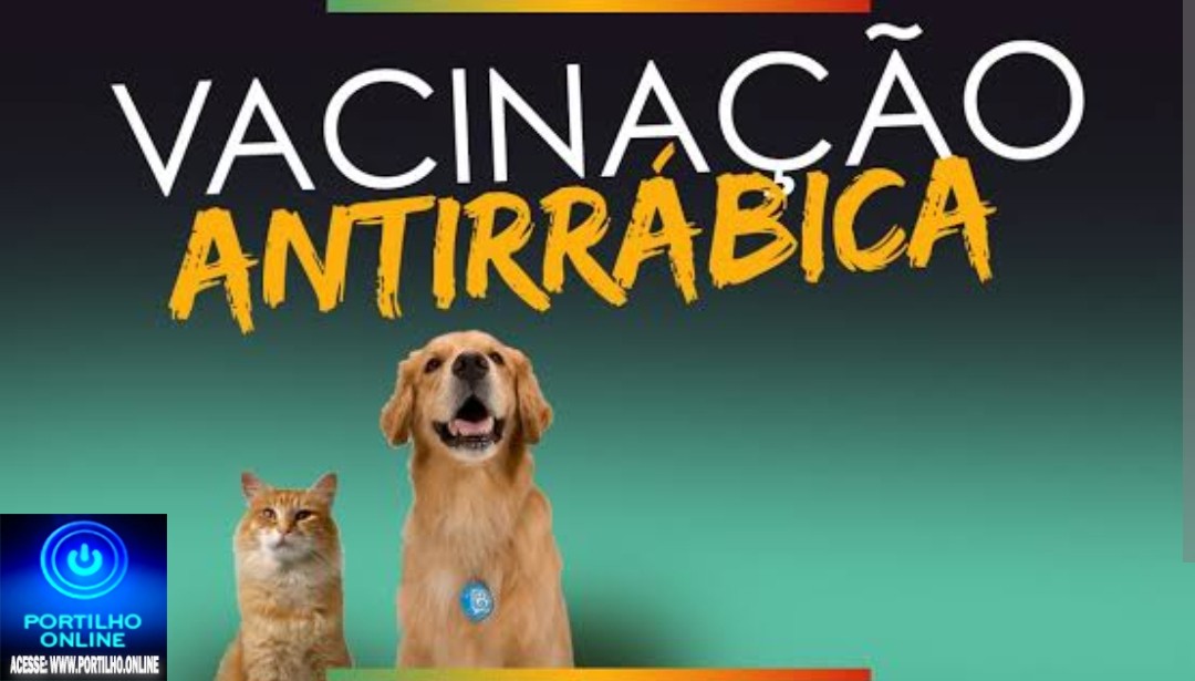 👉👏👍💉💉💉 Hoje tem vacinação 🐹🐭🐶🦊🐩🐕🐈🐁🐀🐾Nesta Quinta -feira dia 04/09/25, a vacinação antirrábica em cães e gatos continua…