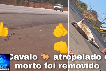 👉🫵🐴🐎✍️🚁 Nota de falecimento: 🕯️🚧🐴🐎Portilho: até o cavalo foi retirado, após ser postado aí.