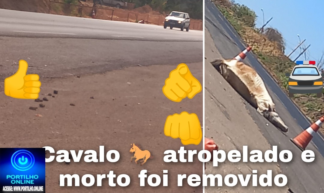 👉🫵🐴🐎✍️🚁 Nota de falecimento: 🕯️🚧🐴🐎Portilho: até o cavalo foi retirado, após ser postado aí.