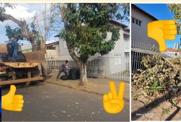 👉📢😡👊🫵🌲🌳🌴Podas de árvores geram transtornos em Patrocínio