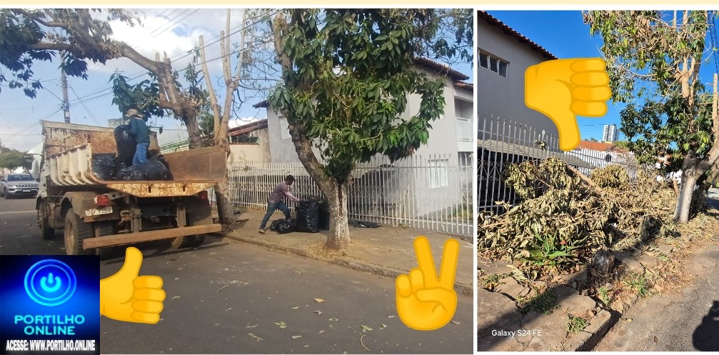 👉📢😡👊🫵🌲🌳🌴Podas de árvores geram transtornos em Patrocínio