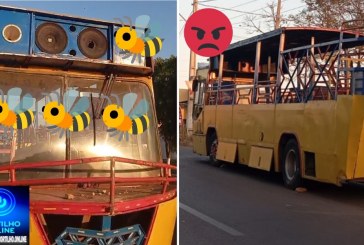 📢👊🚂🐝😡👊 Trem caixa de som e abelhasss 🗣️😡👎🫵🚨🤬Boa tarde Portilho Tudo bem? Esse trem 🚂 sem alegria 