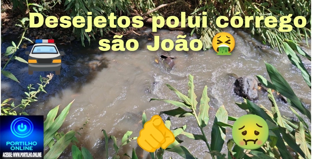 👉🚔📢 Denúncias!🫵😱🤮🤢😡👎👎Poluição: dejetos de currais de ordenha destroem córrego de São João