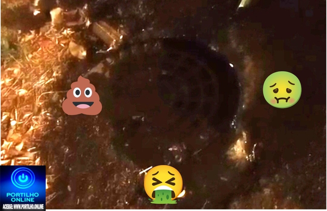 👉🕳️⛳😱😡🤮🤢Boa noite Portilho, queria fazer uma denuncia Esgoto importunando Aki no Manoel Nunes.