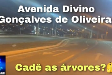 👉🗣️🤔🌲🌳🌴🌳🌳Portilho você que tem uma voz forte na cidade… Cadê as árvores da Avenida Divino Gonçalves de Oliveira.