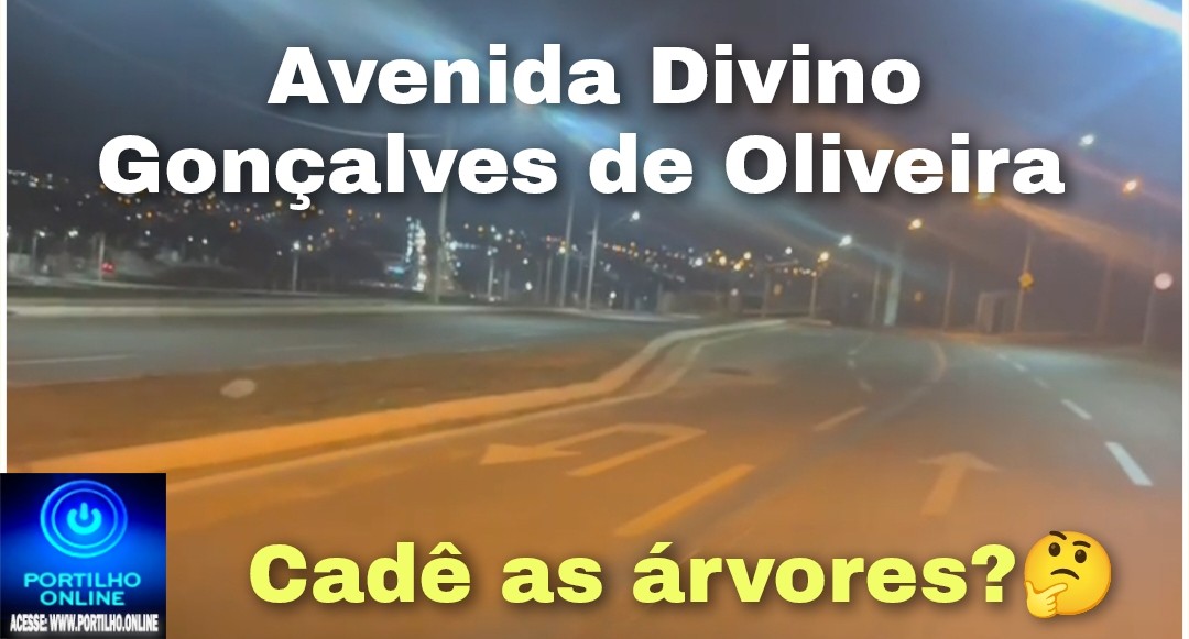 👉🗣️🤔🌲🌳🌴🌳🌳Portilho você que tem uma voz forte na cidade… Cadê as árvores da Avenida Divino Gonçalves de Oliveira.